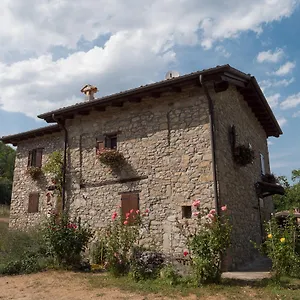  Alloggio per agriturismo La Piana Dei Castagni Italia