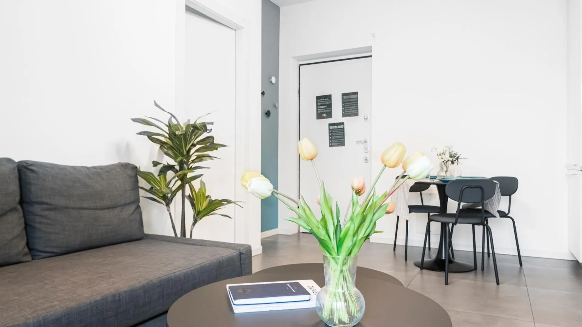 Apartamento Beautiful Flat Fully Furnished In P.Ta Romana Milão